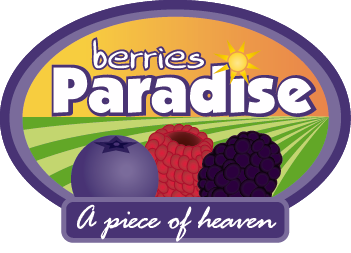 Berries Paradise (1)