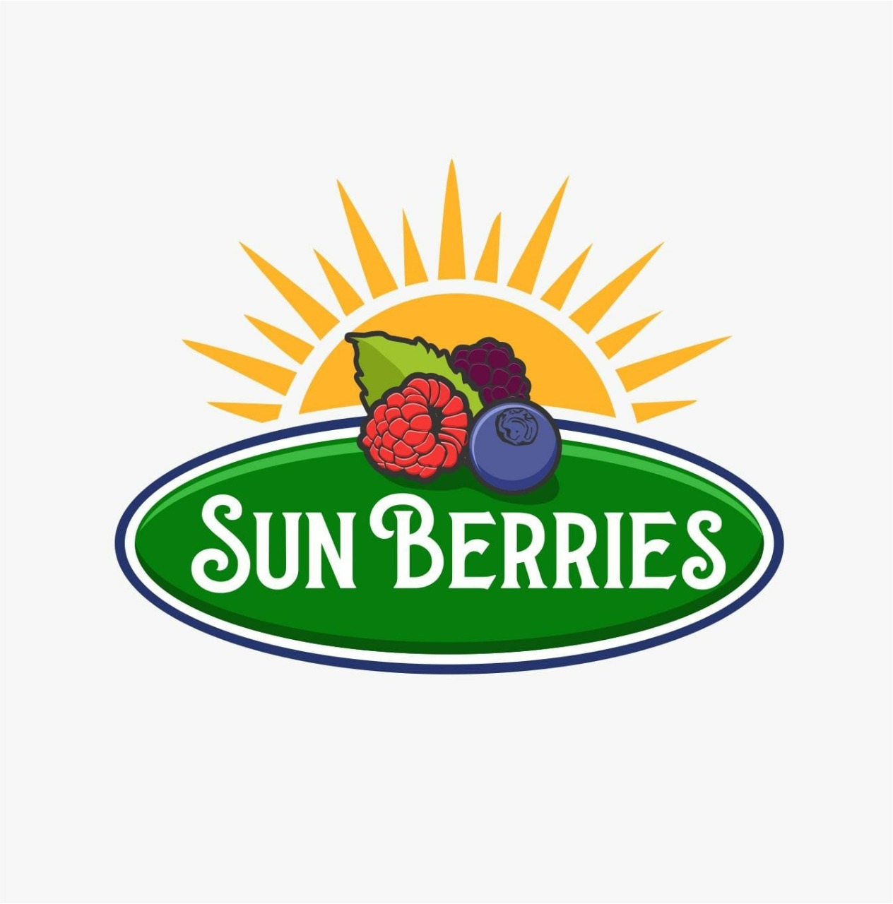 Logotipo Sun B (1)